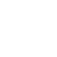 Mandala Icon