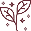 Mandala Icon