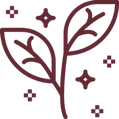 Mandala Icon