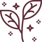 Mandala Icon