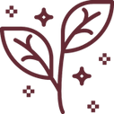 Mandala Icon